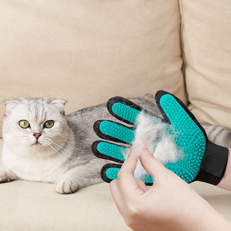 ถุงมือสำหรับกรูมมิ่งสัตว์เลี้ย - Rubber Glove Cleaning บทวิจารณ์และราคา